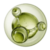 Green Tea Green Tea
